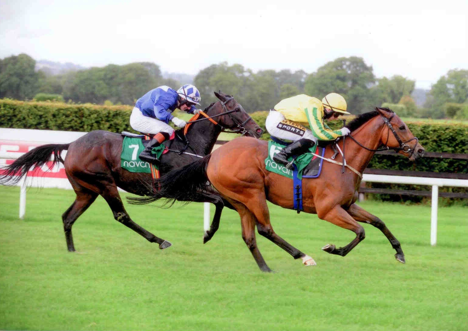 NINGXAI gets the head infront at Navan on September 21st 2015